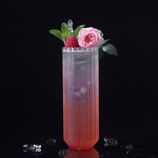 Raspberry Rose Floradora