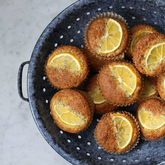 Meyer Lemon Poppy Seed Muffins