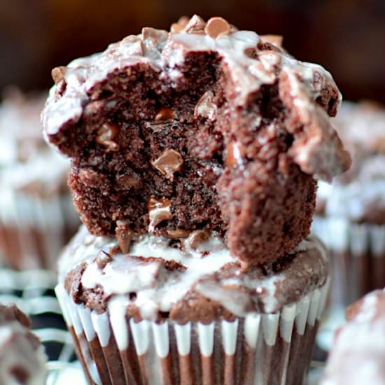 Double Chocolate Muffins