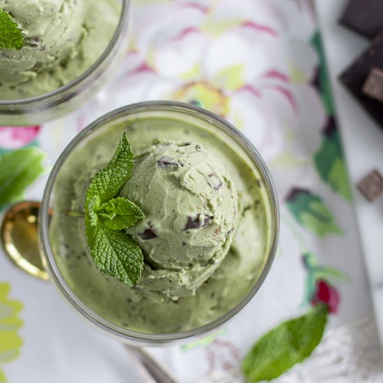 Vegan Mint Chocolate Chip Ice Cream