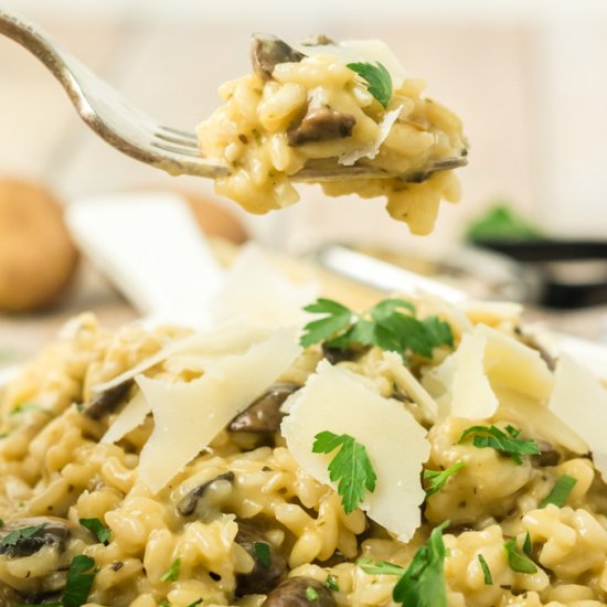 Mushroom Risotto