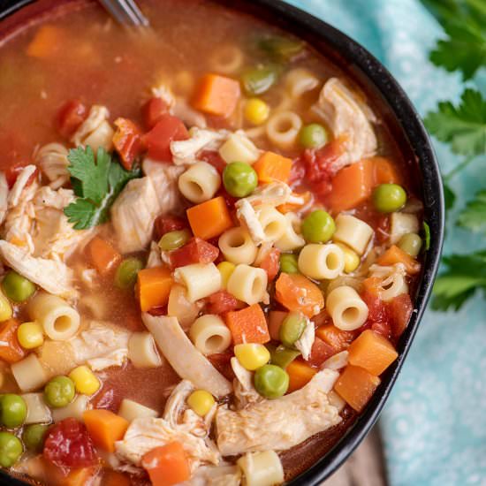 Instant Pot Chicken Vegetable Soup