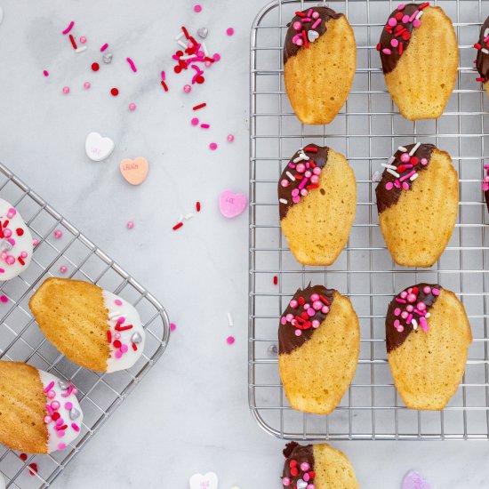 Orange Madeleines