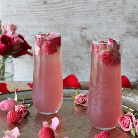 Raspberry Rosé Spritzer