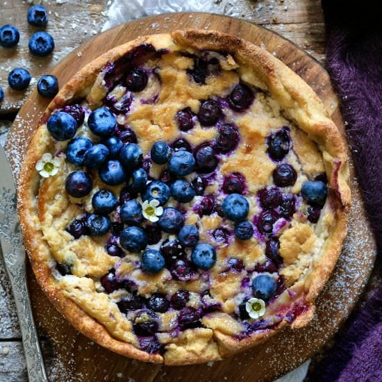 Vegan Baked Rustic Blueberry Cheese