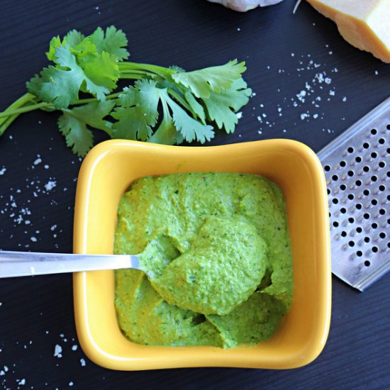 Cilantro Pesto Sauce