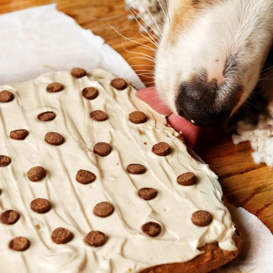 Kingsley’s Cake-a dog birthday cake