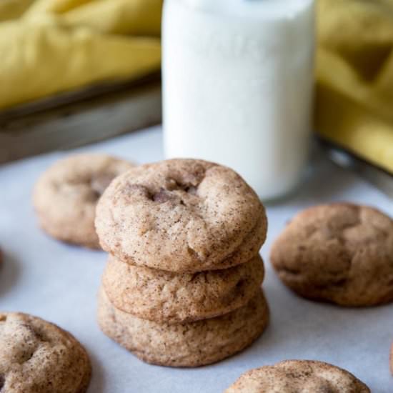 Chocolate Chip Snickerdoodle Cookie