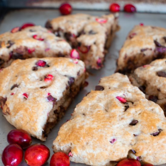 Cranberry Dark Chocolate Cake Scone