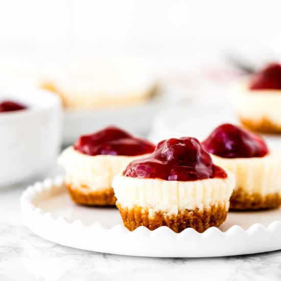 Eggless Mini Cheesecakes