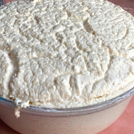 Fermenting Idli Dosa Batter