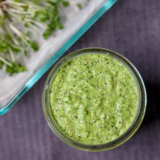 Broccoli Sprout Pesto