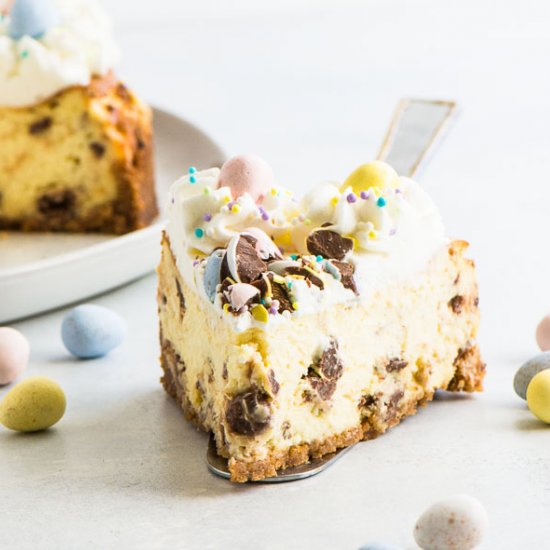 Easter Egg Cheesecake