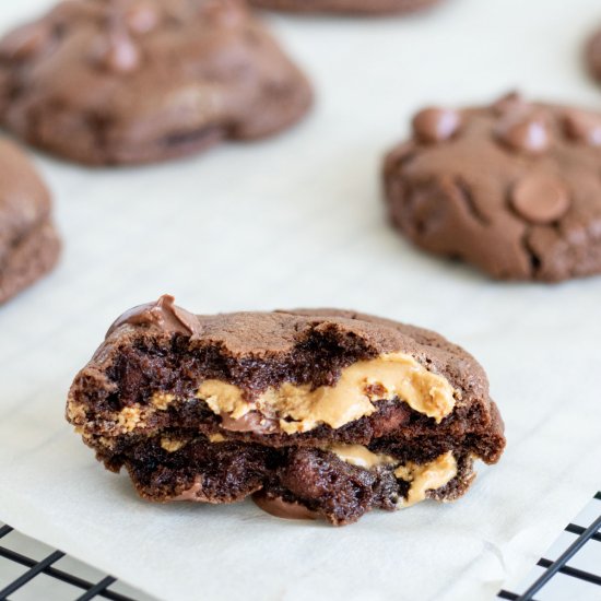 Chocolate Peanut Butter Cookies