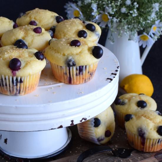 Blueberry Lemon Yogurt Muffins