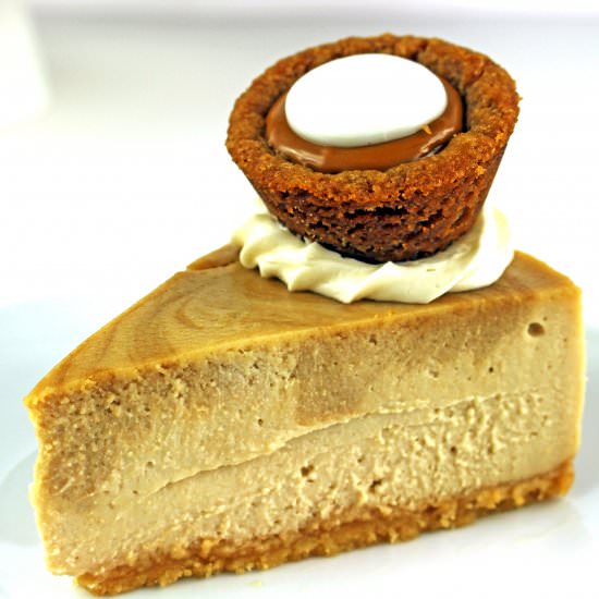 Cookie Butter Cheesecake!