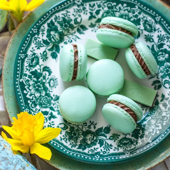 Andes Mint French Macarons