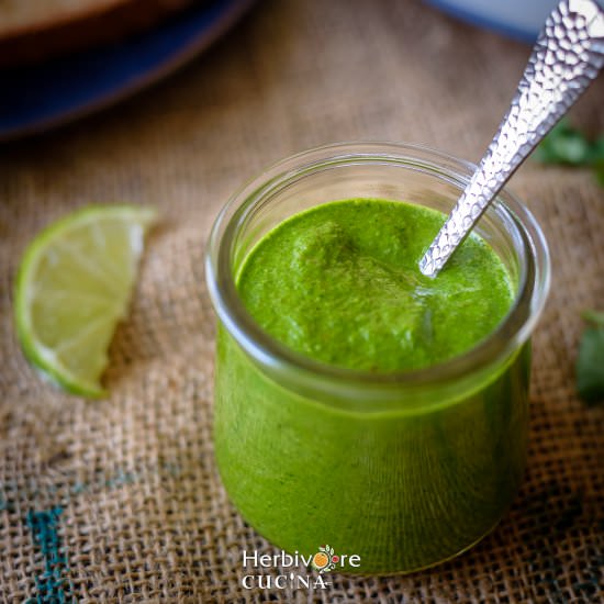 Cilantro Chutney