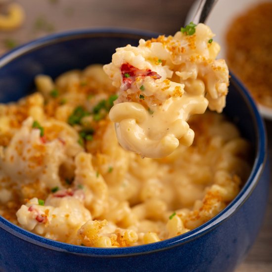 Creamy Lobster Mac & Cheese