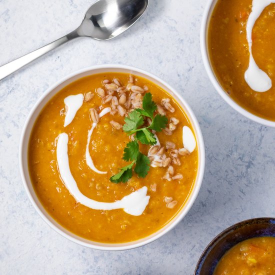 Mediterranean Lentil & Farro Soup