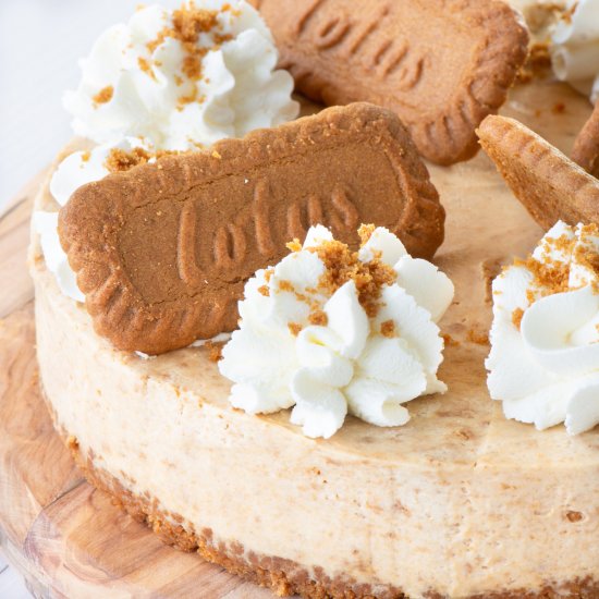 Biscoff Cheesecake