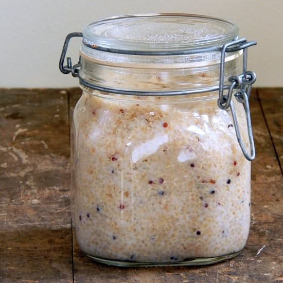 Simple Fermented Quinoa