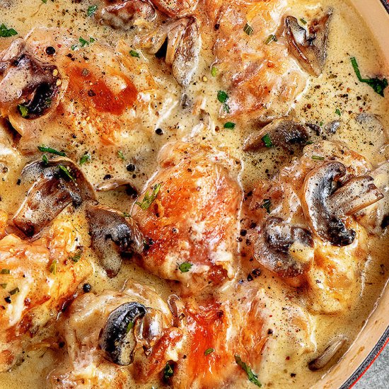 CHICKEN THIGHS WITH CREAMY MUSHROOM