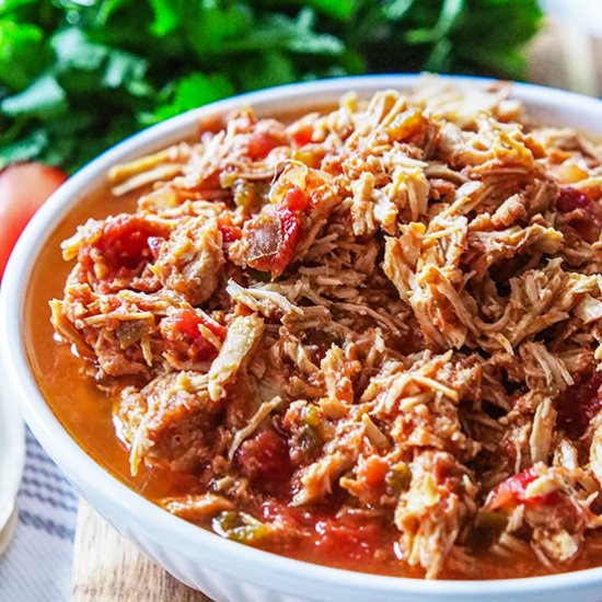 Slow Cooker Salsa Chicken