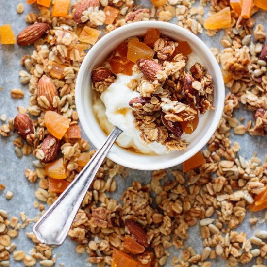 Ginger Apricot Spring Granola