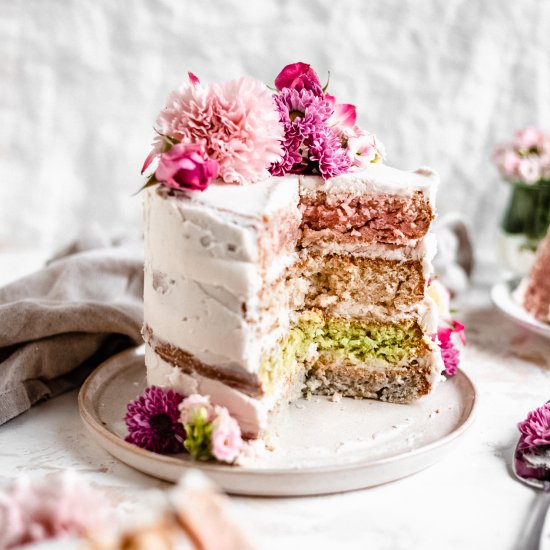 Vegan Pastel Layer Cake