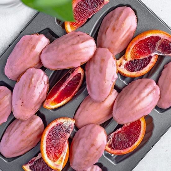 Blood Orange Glazed Madeleines