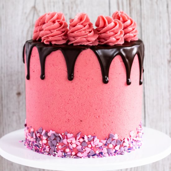 Vegan Chocolate Raspberry Cake