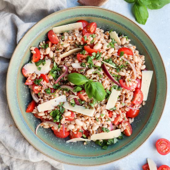 white bean farro salad