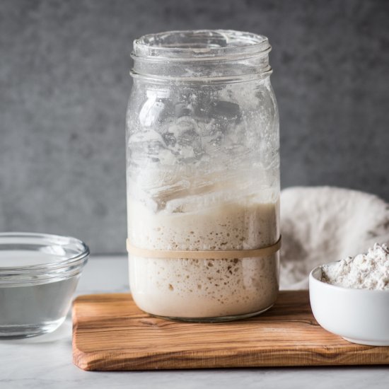 Gluten Free Sourdough Starter