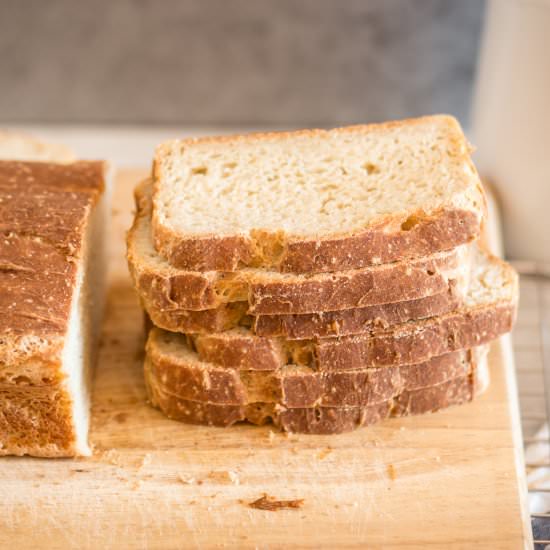 Gluten Free Sourdough Bread