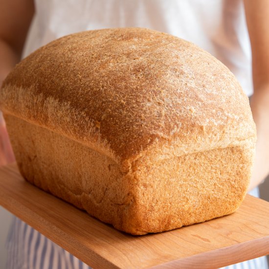 Homemade Whole Grain Bread