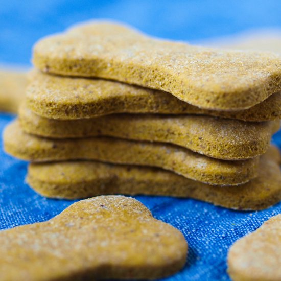 Homemade Pumpkin Dog Treats