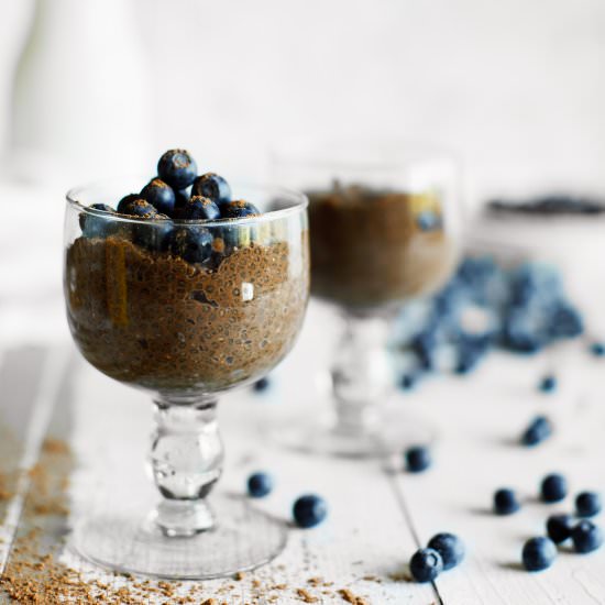 Chocolate Chia Seed Pudding Recipe