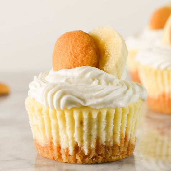 Mini Banana Pudding Cheesecake