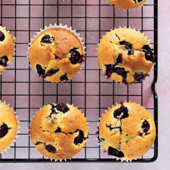 sourdough blueberry muffins