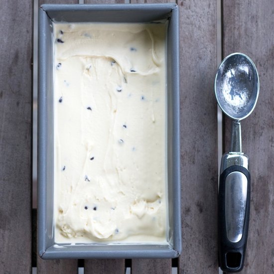 Easy Chocolate Chip Ice Cream