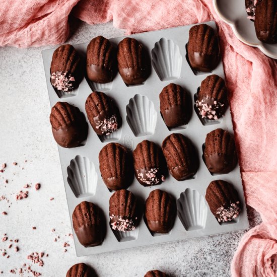 Chocolate Madeleines