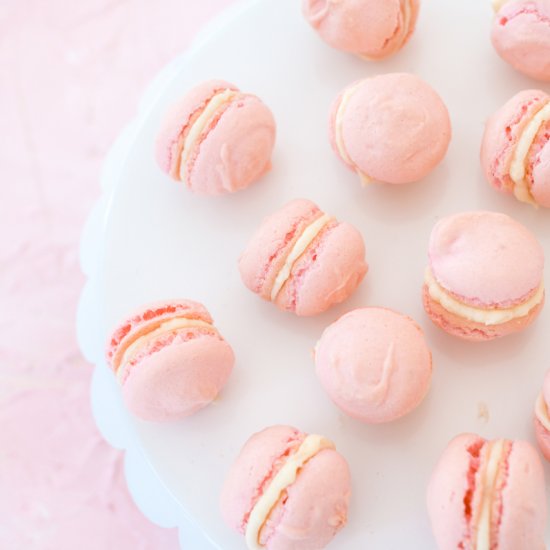 Passover French Macarons