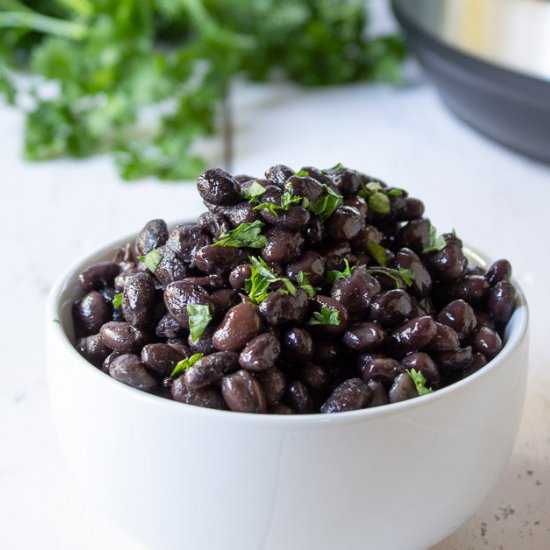 Black Bean Recipes