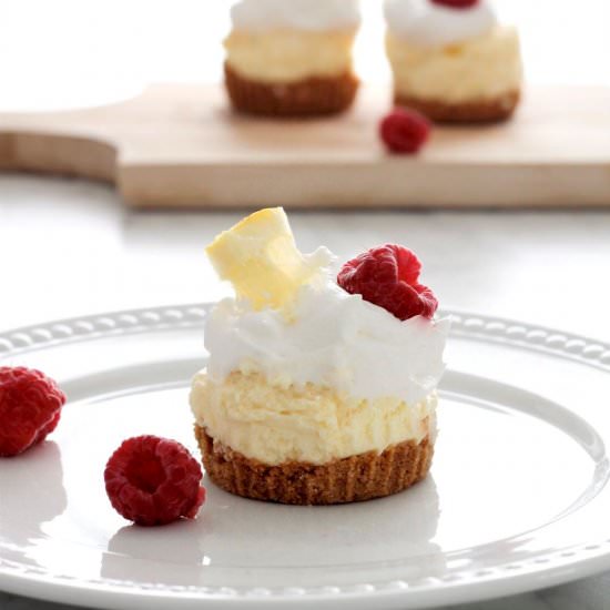 Mini Lemon Cheesecakes