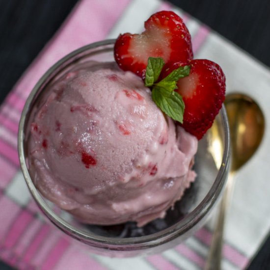 Vegan Strawberry Rhubarb “Ice Cream