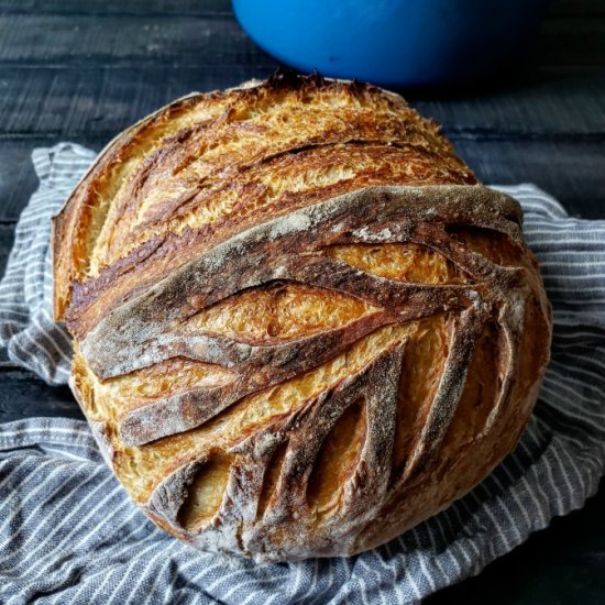 Adventures In Sourdough Bread