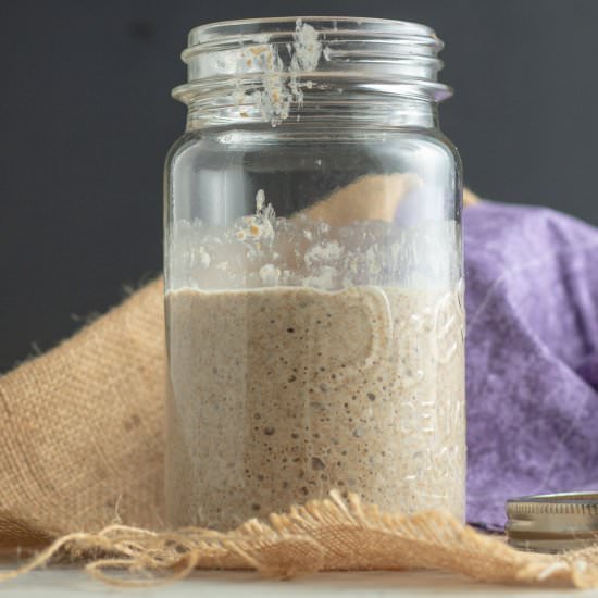 How to make yeast sourdough starter