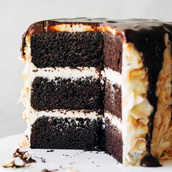 Gluten Free Chocolate Coconut Cake