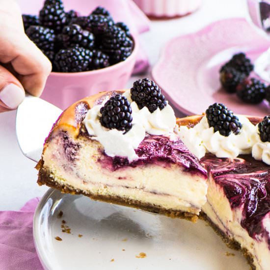 Blackberry Cheesecake